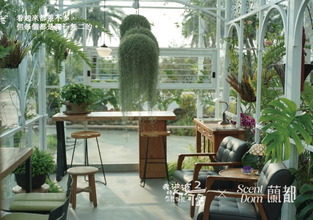 我的婆婆怎那麼可愛2 聯名禮盒｜蘭花萃取保養品第一品牌蘭都ScentDom｜悠蘭舒心