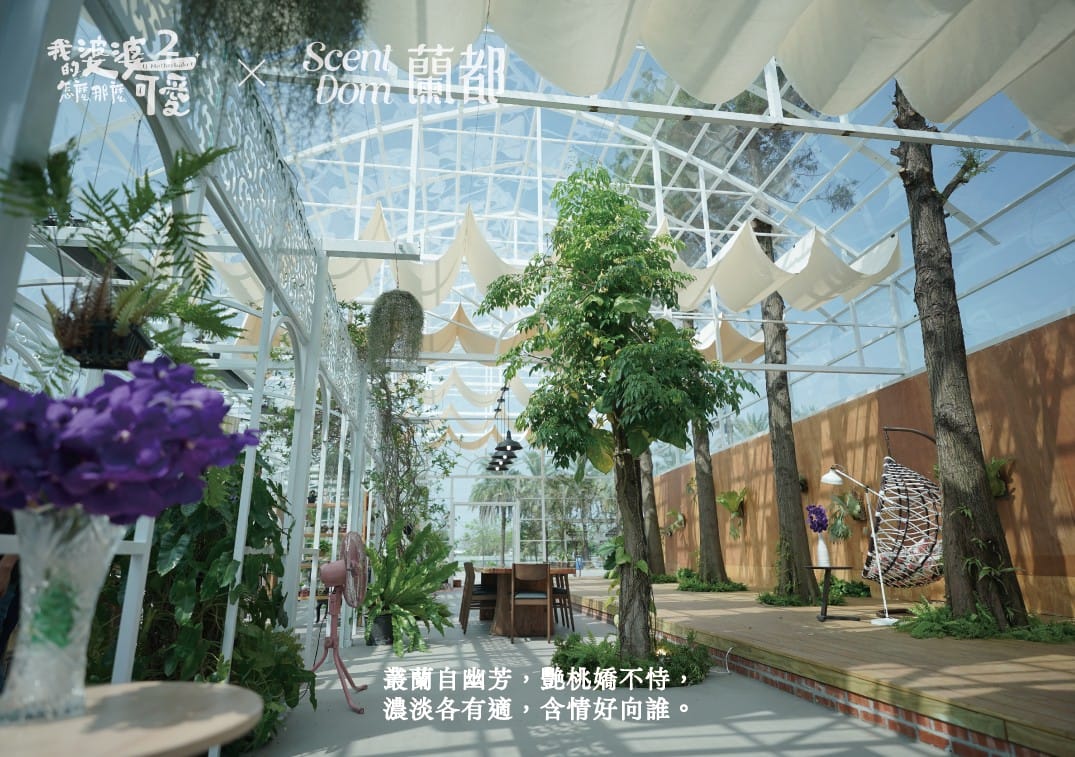 我的婆婆怎那麼可愛2 聯名禮盒｜蘭花萃取保養品第一品牌蘭都ScentDom｜悠蘭舒心